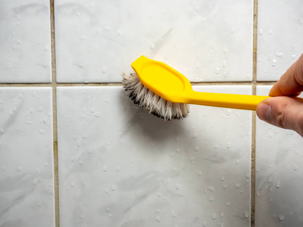 Best Bathroom Mold Remediation in Gordon Heights, NY